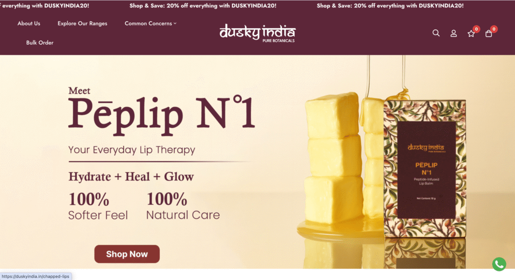 Digital marketing agency in India